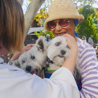 Blessing of the Animals! 10:30am Sun Oct 2