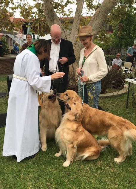 Blessing of the Animals! Sun. Oct. 1
